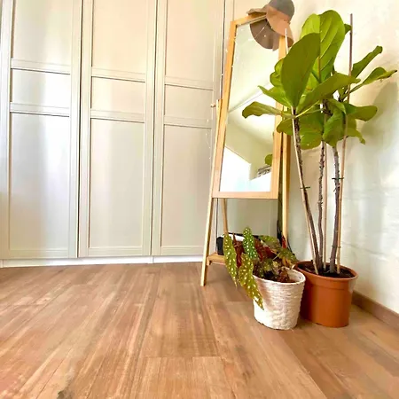 Cosy Traditional Maltese