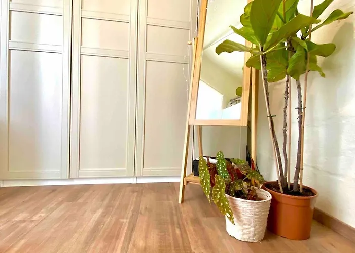 Cosy Traditional Maltese